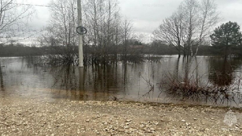    Фото: МЧС Владимирской области