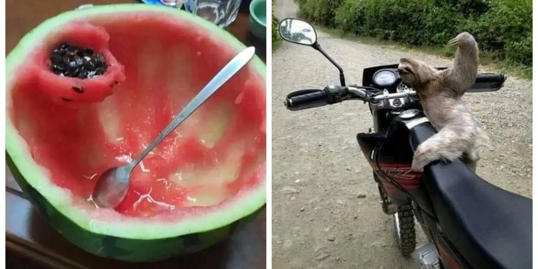 25 реальных жизненных моментов, которые невозможно выдумать