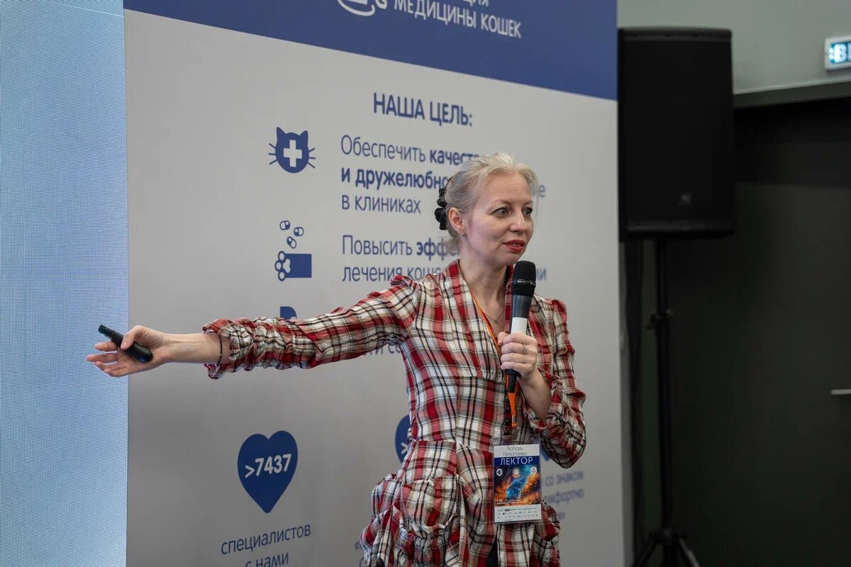 Как распознать аллергию у кошки. Фото: Александр Плонский / «Питомцы».