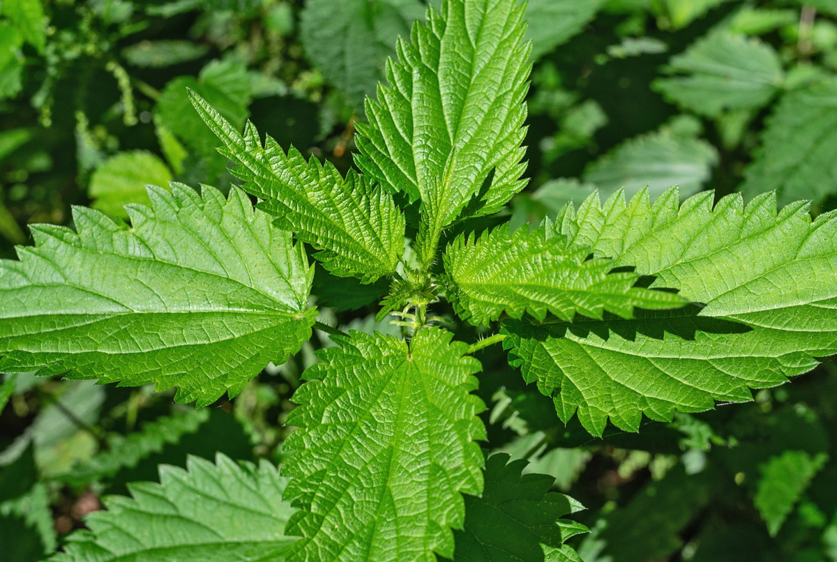 Фото: offlooks/ freepik.com