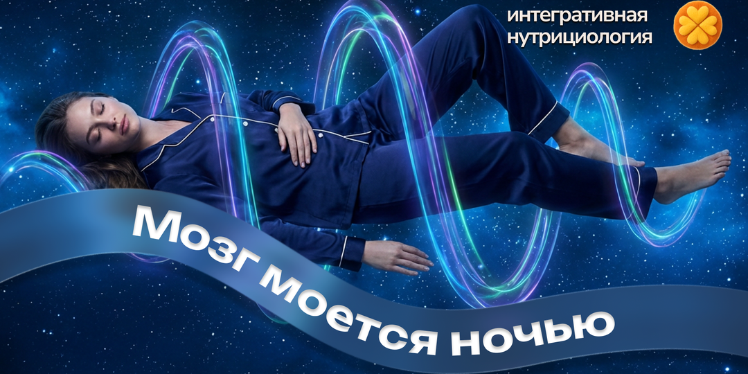 Сон как процедура. Глимфатическая система и очищение мозга