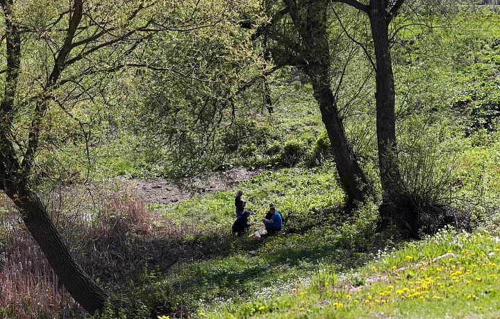 Фото: Тульская служба новостей
