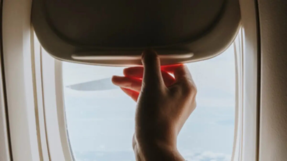    Перелёт. © freepik.com/rawpixel.com