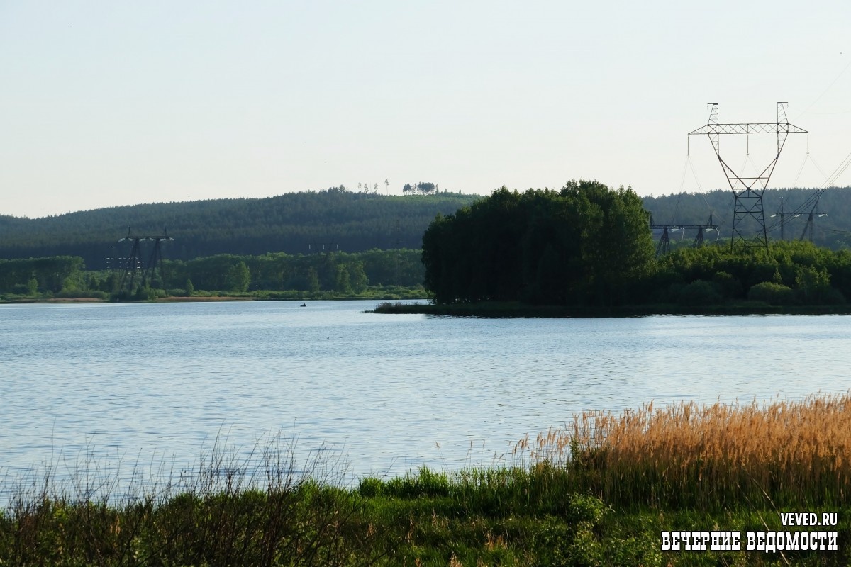     Фото: Владислав Постников / Вечерние Ведомости