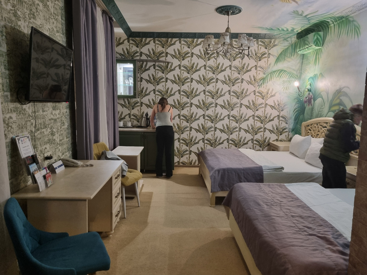 Номер просторный, чистый, белье новое, нам понравилось.