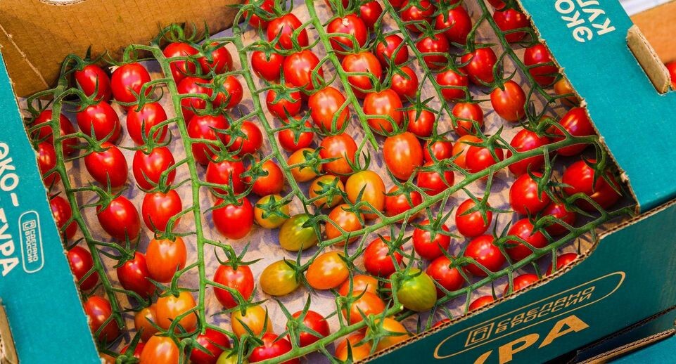    Медиасток.рф