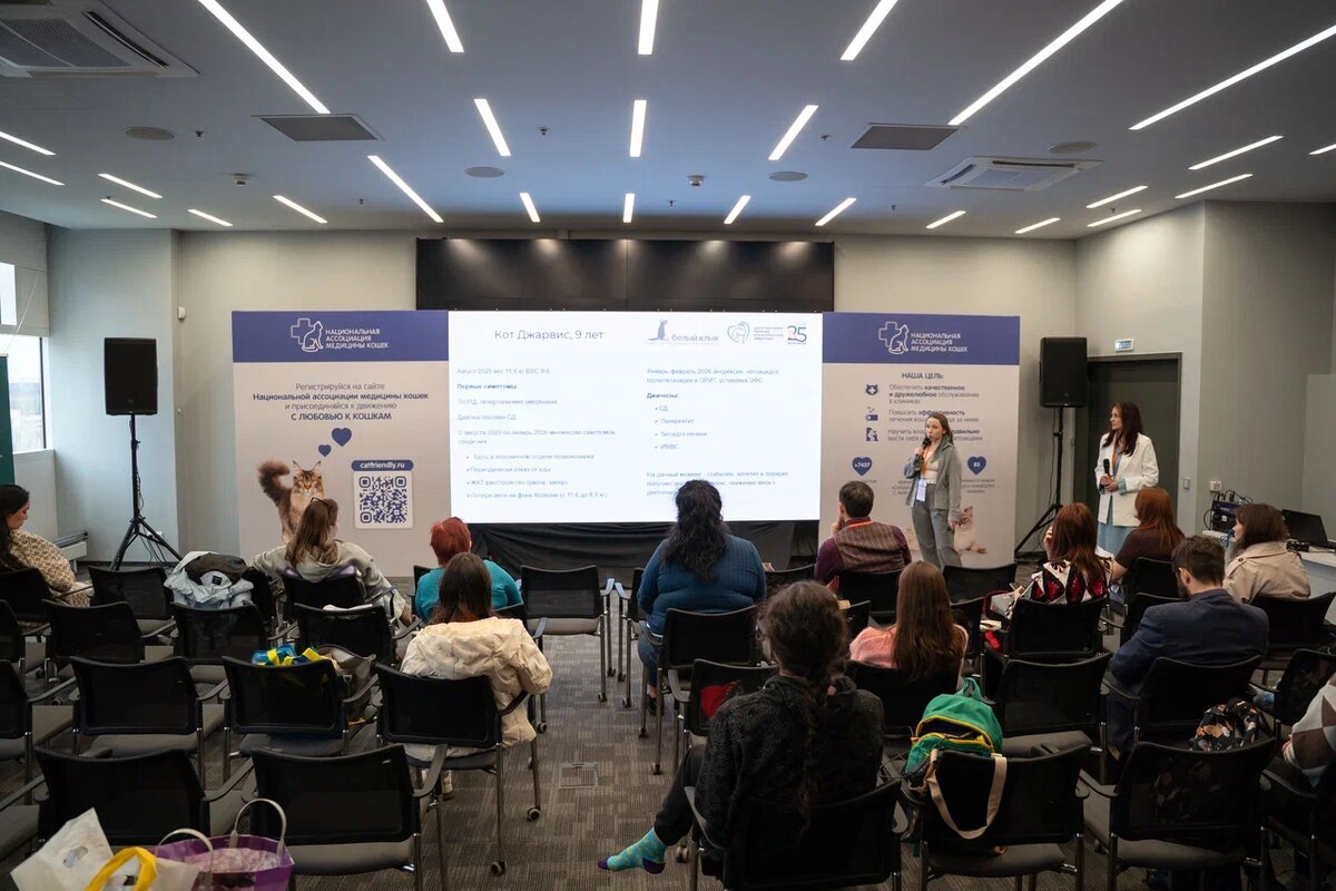 Мифы о питании кошек. Фото: Александр Плонский / «Питомцы».