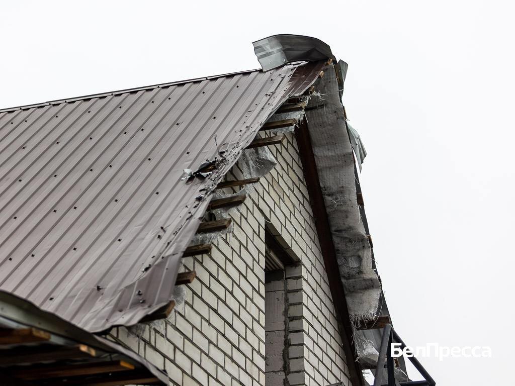     Фото: Алексей Дацковский