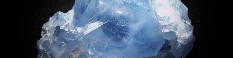 Для контактов: angelica.keiner@yandex.ru или floransia@yandex.ru