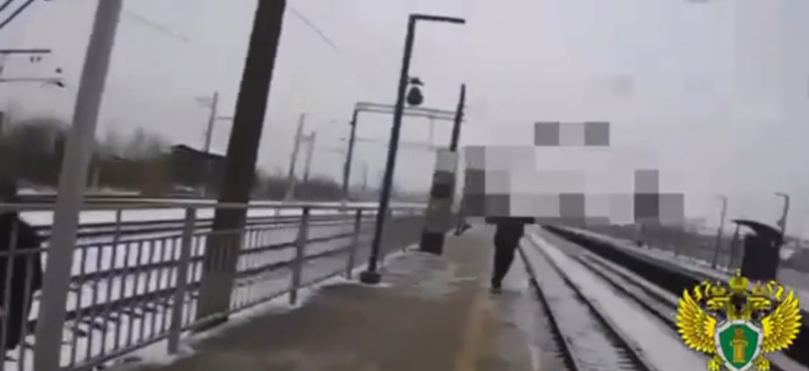     Фото: скрин/видео пресс-службы прокуратуры Ленобласти.