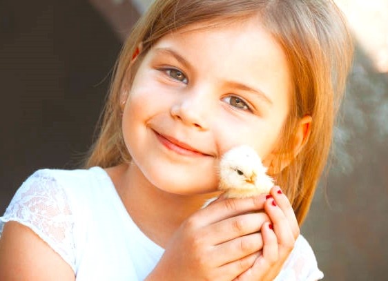 Из свободных источников