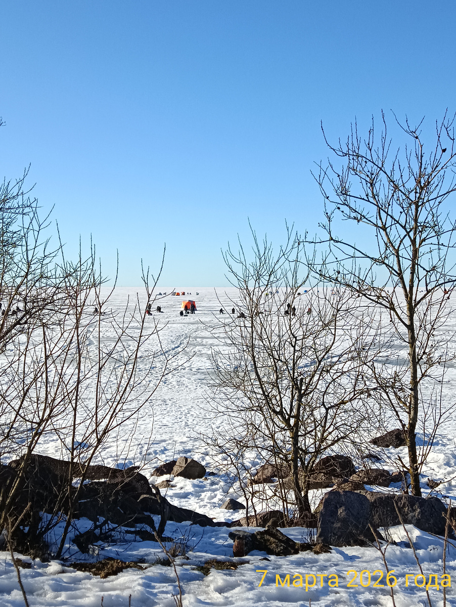 Финский залив промёрз до дна ,начало марта!