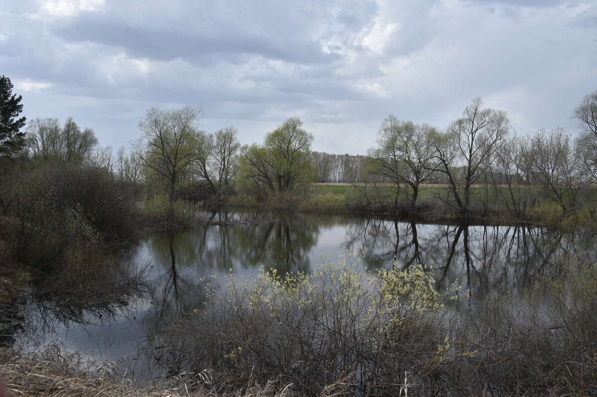 Фото: Динар Калимуллин / Фотобанк СМИ РБ