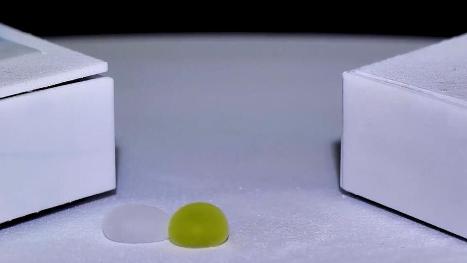 ФОТО: Кадр программы "Наука и техника", РЕН ТВ