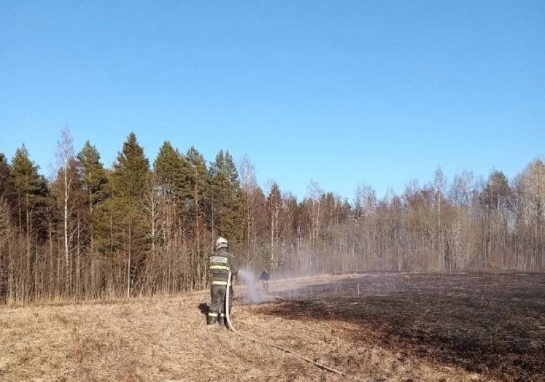  Пожарные оперативно приехали на место возгорания и потушили пожар