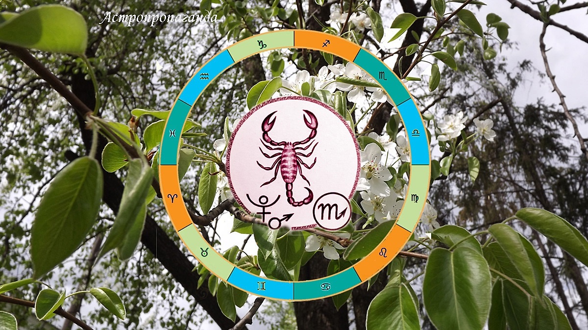 Гороскоп для Скорпиона с 30 марта по 3 мая 2026. 