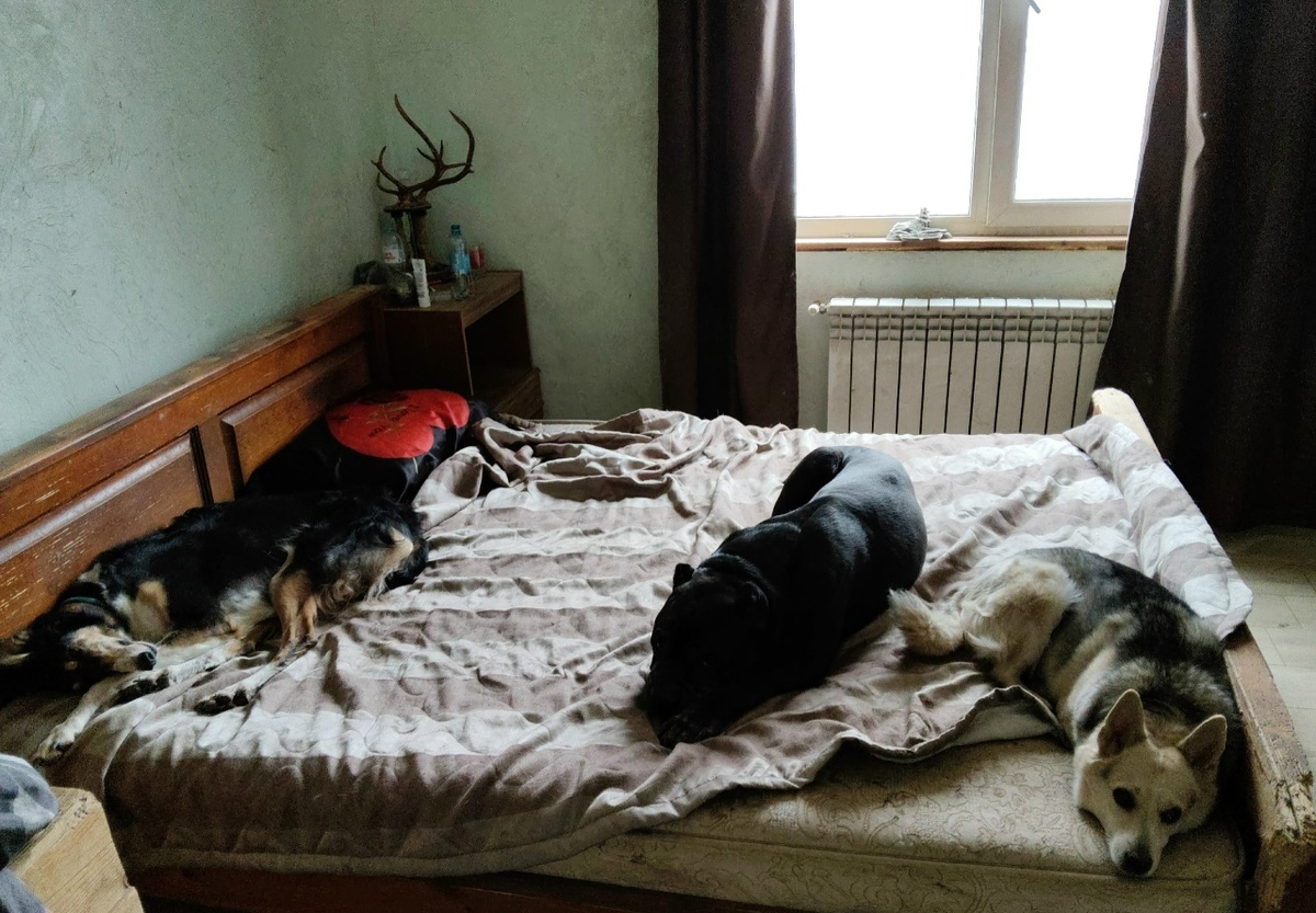 К сожалению это последее фото Дария