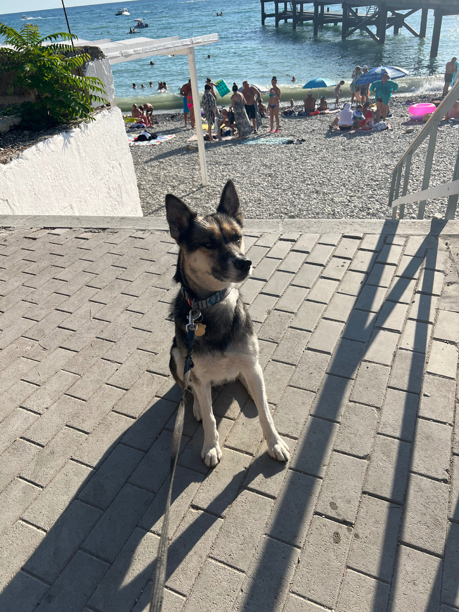 Не автостопщик, но кататься любит 