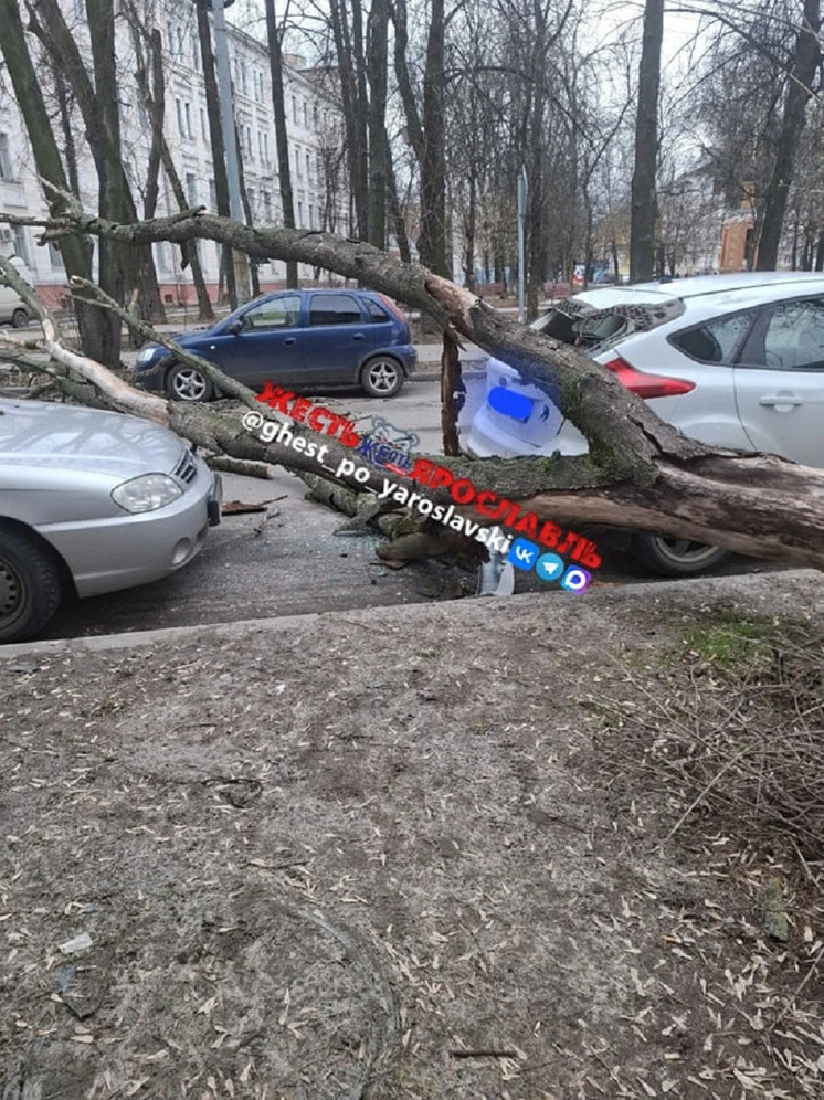     фото ВК Жесть Ярославль