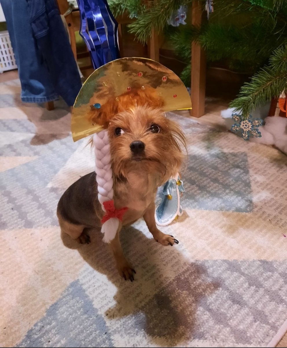 Прынцесса ☝️