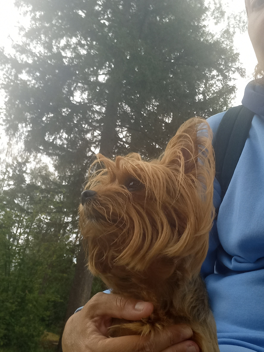 Взгляд то какой