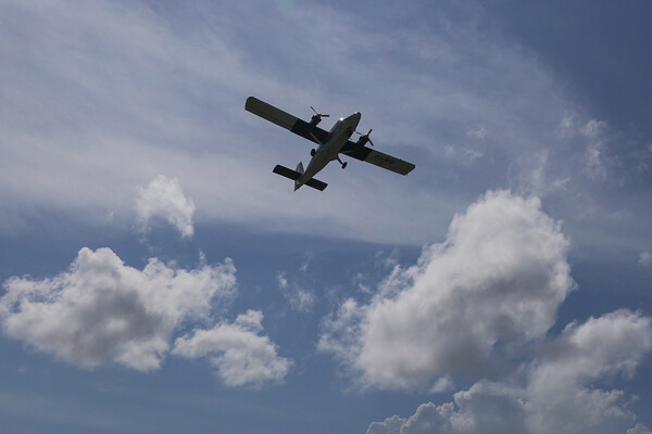 Leonard Zhukovsky/Shutterstock/FOTODOM   📷