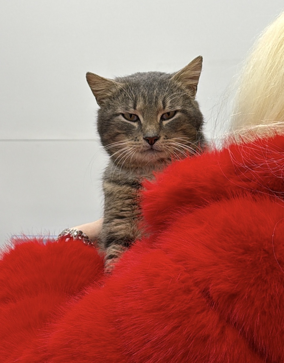 Витюня в стационаре ♥️