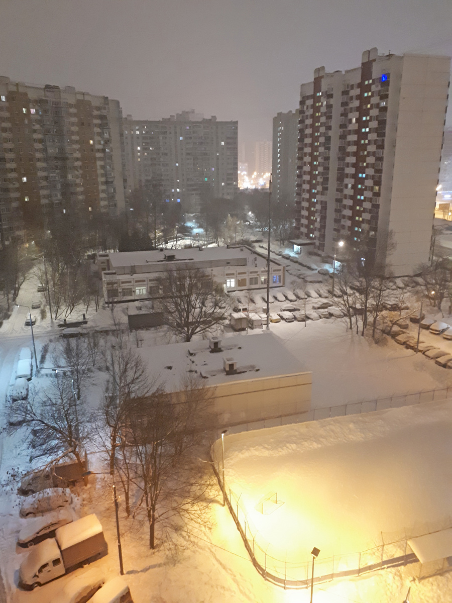 Зима в Новопеределкино. Фото автора.