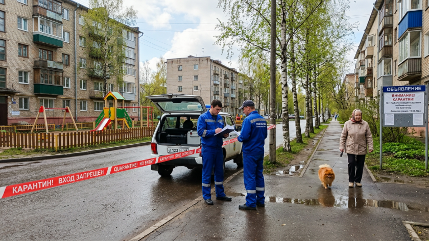    Фото ИИ progorod76.ru