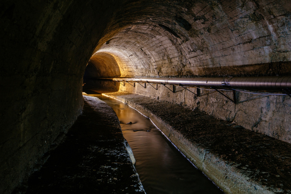    Shutterstock/FOTODOM