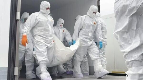    © Фото : RT/Ruptly