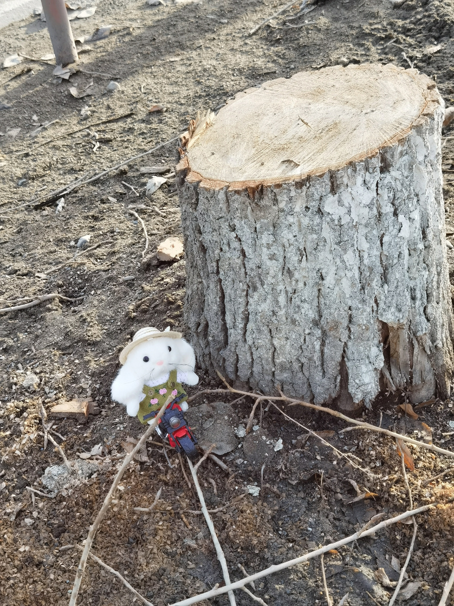 Говорит, что здесь шло большое сражение