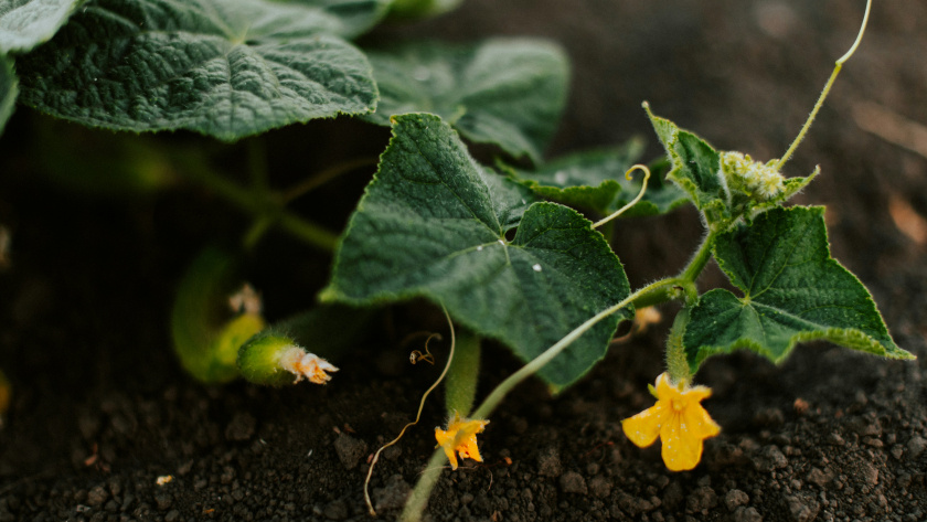    Фото с сайта unsplash.com