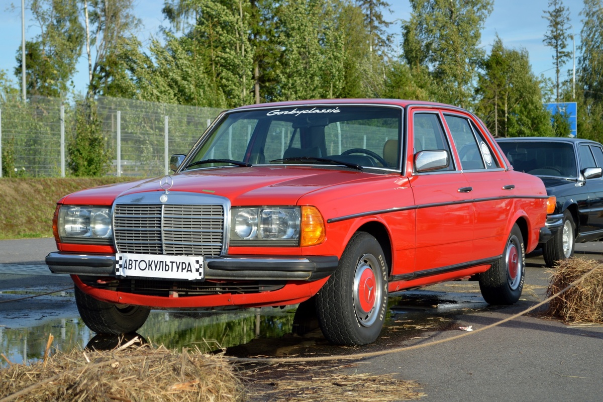 В статье использованы фотографии автора