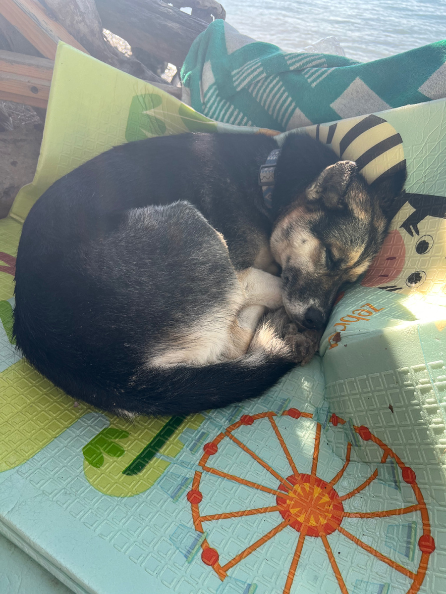 Сладкая булочка спит…