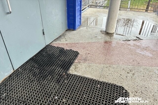    Фото: АиФ/ Анна Якурнова