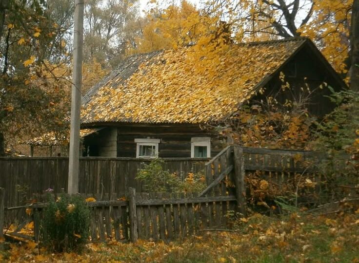 Пойди туда - не знаю куда...Глава 21