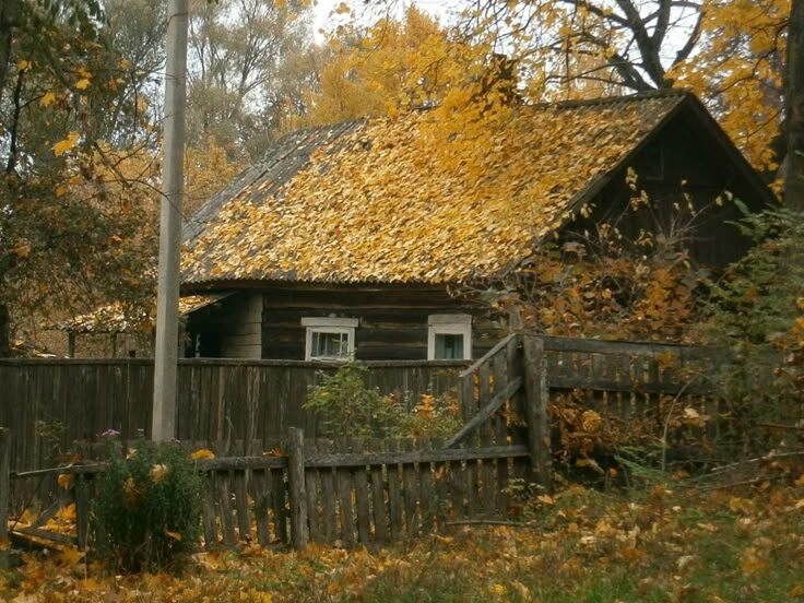 фото из интернета