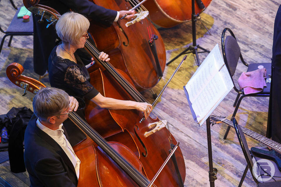    Фото: Дмитрий Рогулин / "Городские вести"
