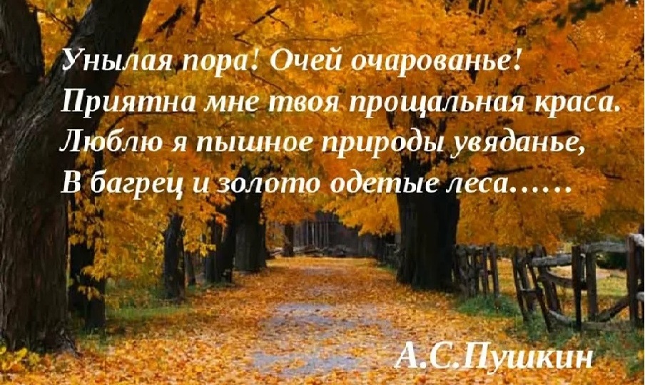 Лоскутная унылая ткань: шить или не шить?