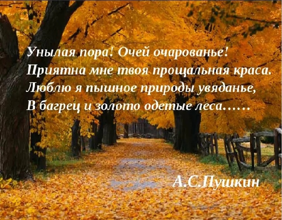 Пушкин-наше всё!