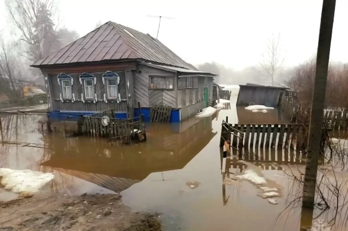    Сушим, требуем, копаем.