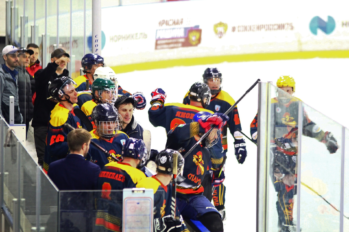 Любительская хоккейная команда из города Воронеж- СПАРТАНЦЫ. 