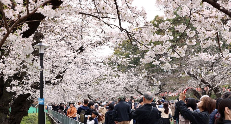    Yoshio Tsunoda/AFLO / www.globallookpress.com