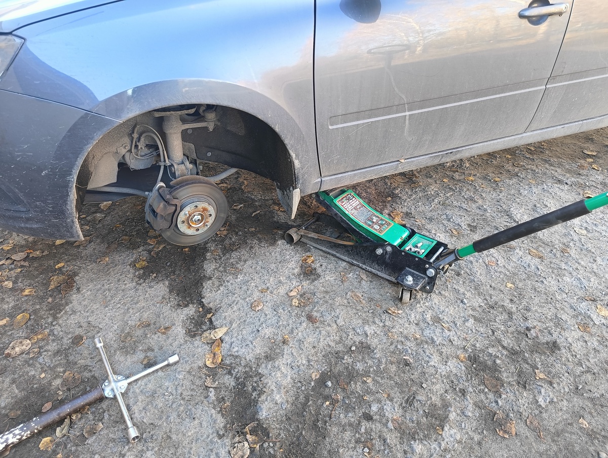    фото: © "Столица на Онего"