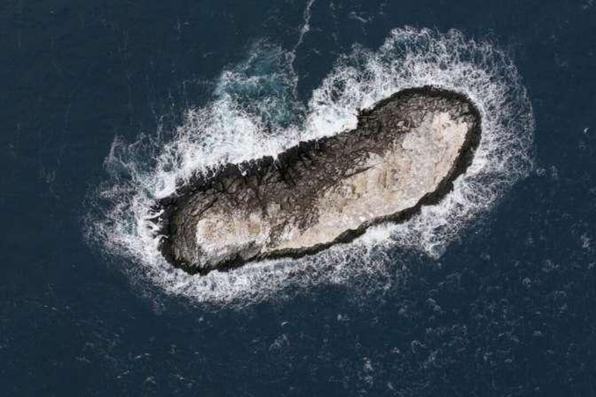    Фото: Christian Haas, источник: Alfred-Wegener-Institut