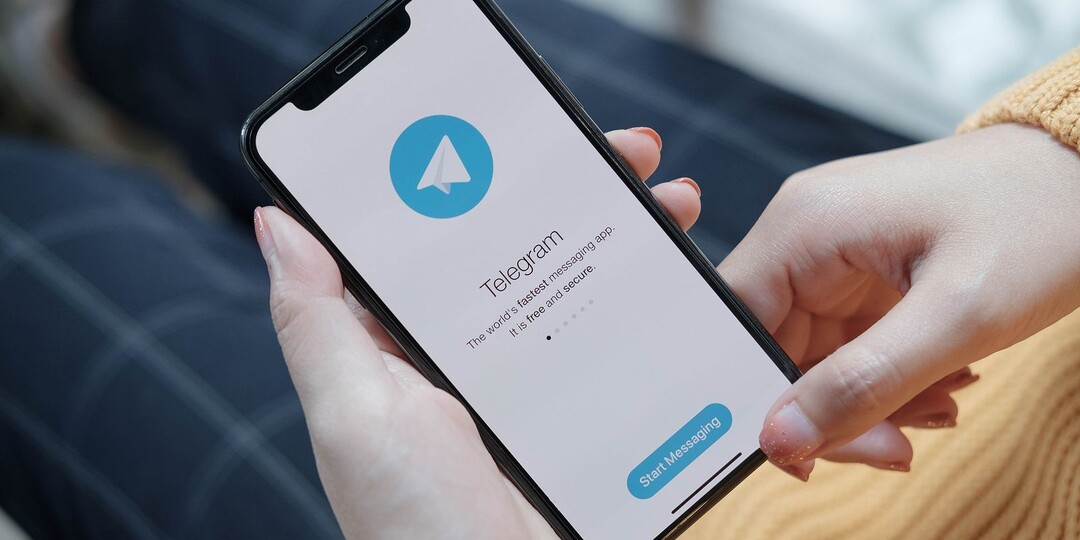 В Госдуме назвали реальные причины блокировки Telegram
