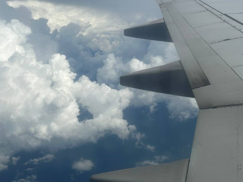    Фото: Бриф 24