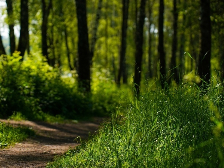     Фото принадлежит ИА SM-News