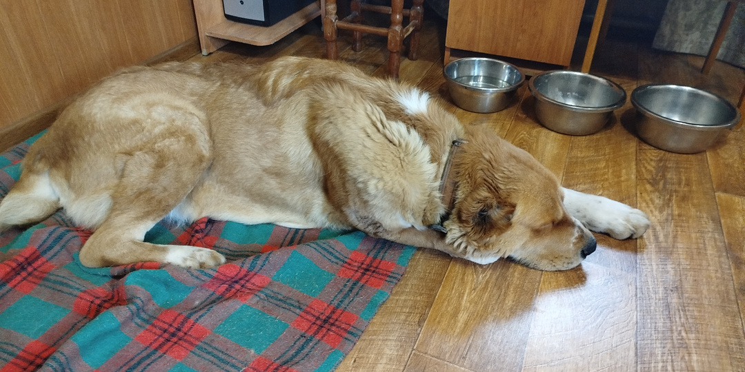 Операция прошла хорошо